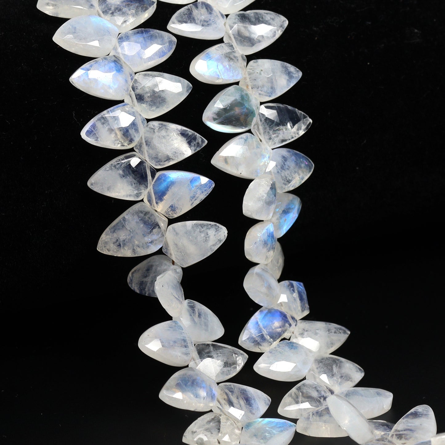 Rainbow Moonstone 12x8mm Faceted Shields Bead Strand
