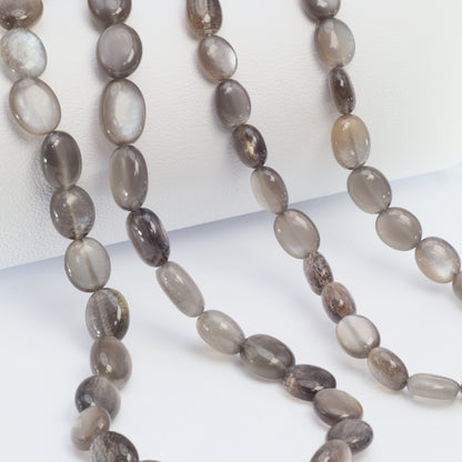 Gold Shine Gray Moonstone 8x6mm Smooth Ovals