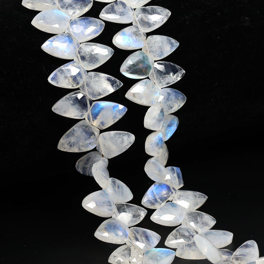 Rainbow Moonstone 12x8mm Faceted Shields Bead Strand