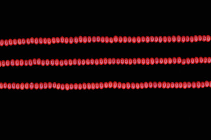 Red Coral 4mm Smooth Rondelles