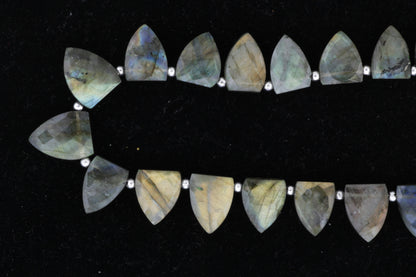 Blue Labradorite 17x13mm Faceted Shields